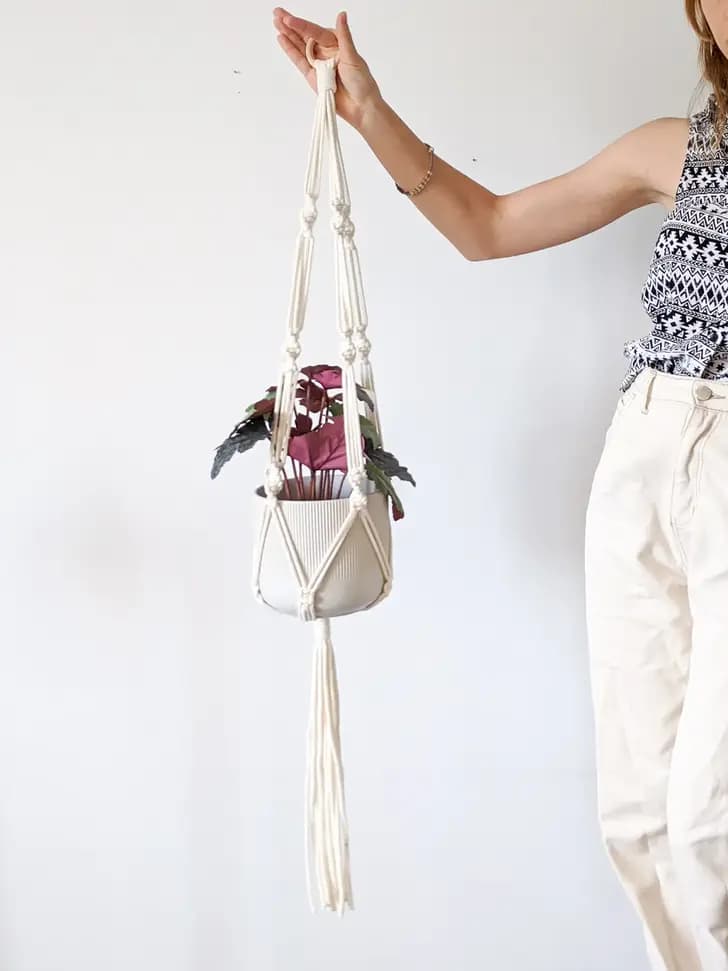 Simple Plant Hanger